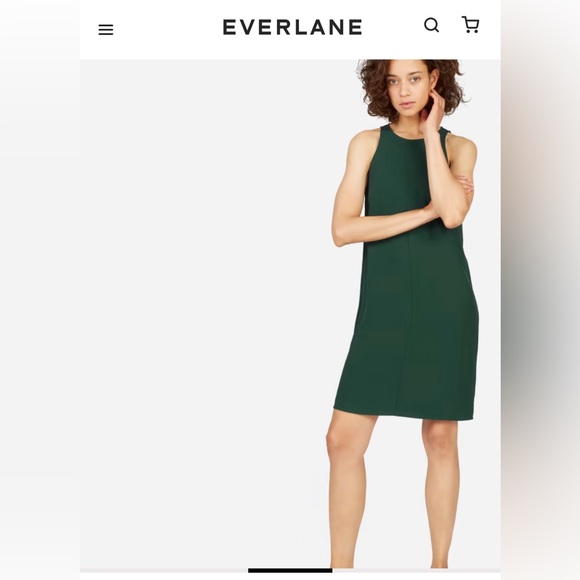Everlane Japanese GoWeave High Neck Tank Dress - Picture 8 of 8
